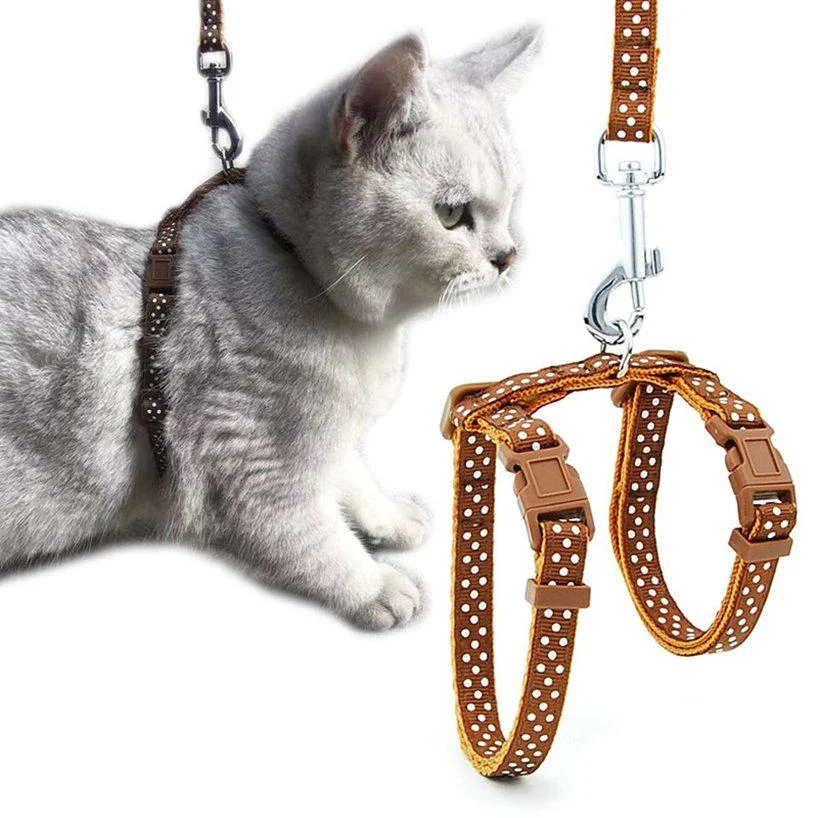 Collar de pecho para gatos