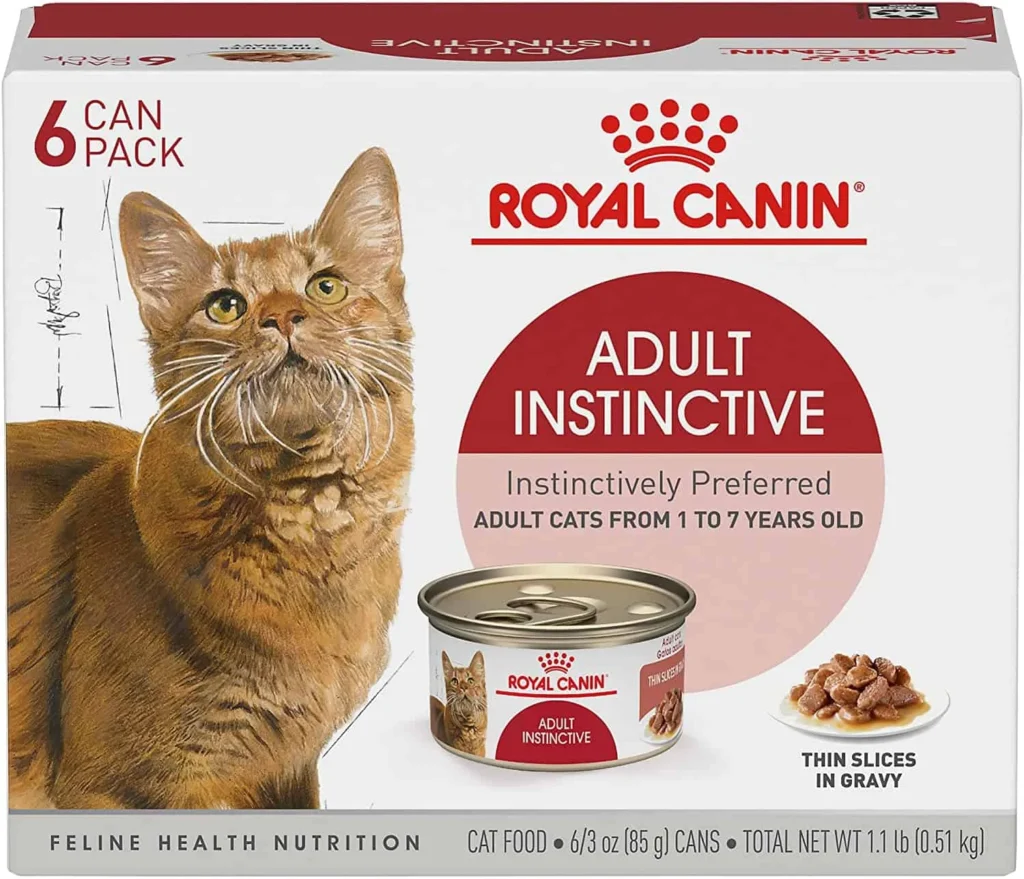 comida para gatos Royal Canin