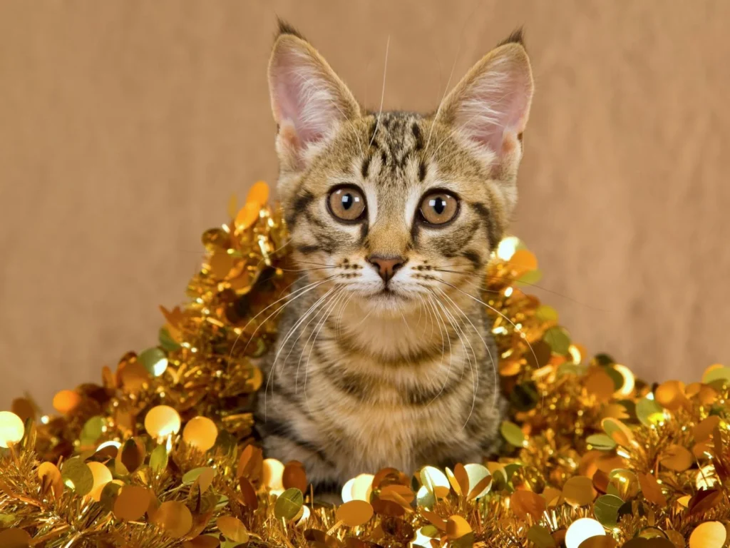 Alimento Golden Cat para Gatos Castrados