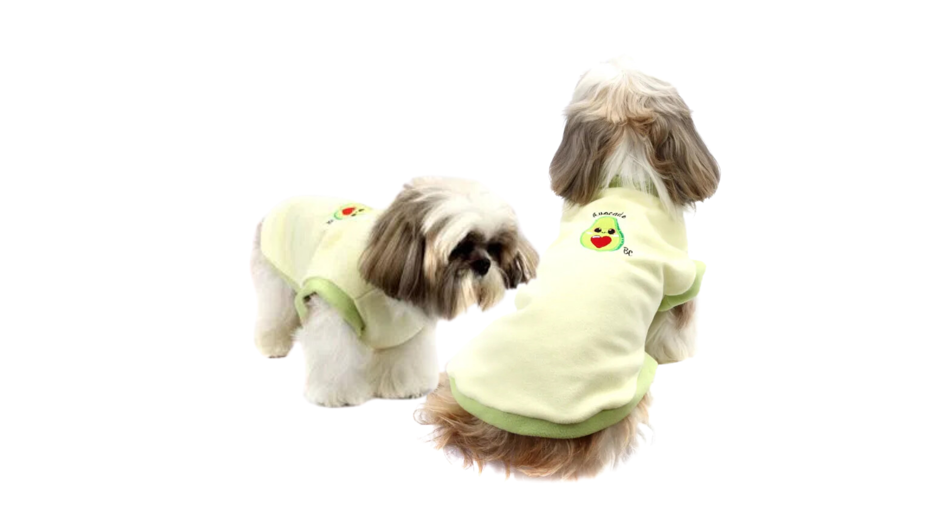 4 Benefícios de vestir seu cachorro com roupa adequada