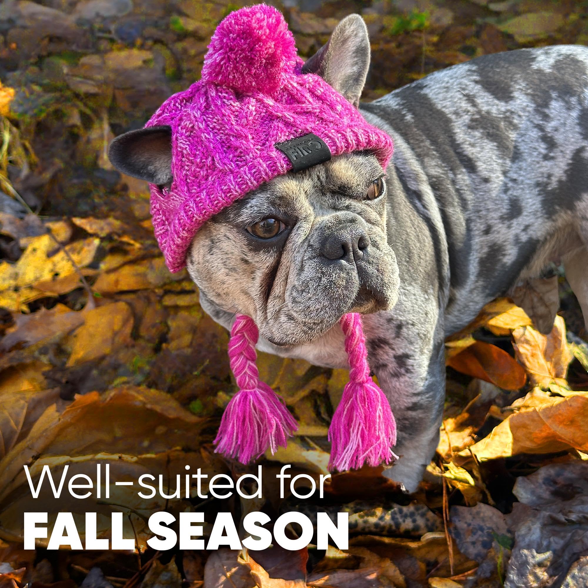 Bulldog Francês:  100% Companheiro Adorável e Charme Imparável