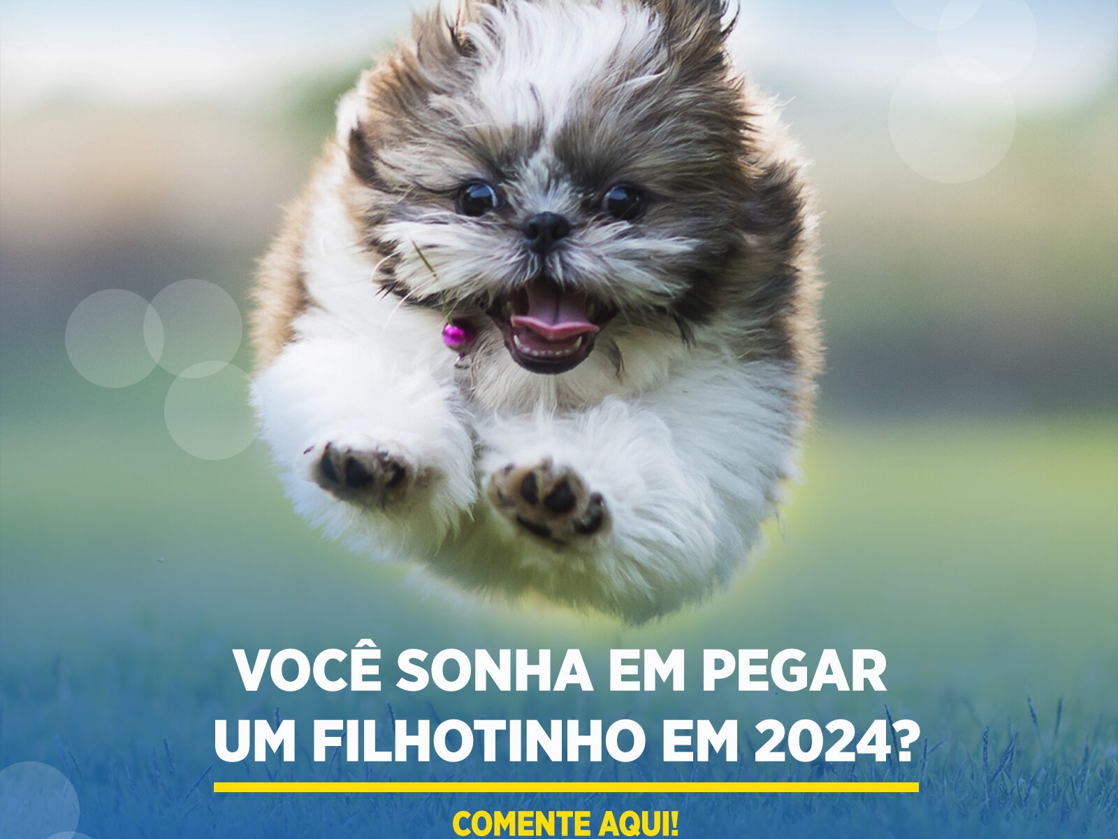 Como Adotar um Cachorro: Da Decisão ao Primeiro Dia em Casa →【Passo a Passo】