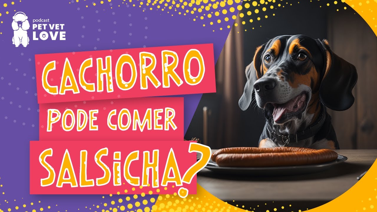 Melhor Ração para Cachorro Emagrecer →【Confira Aqui!】