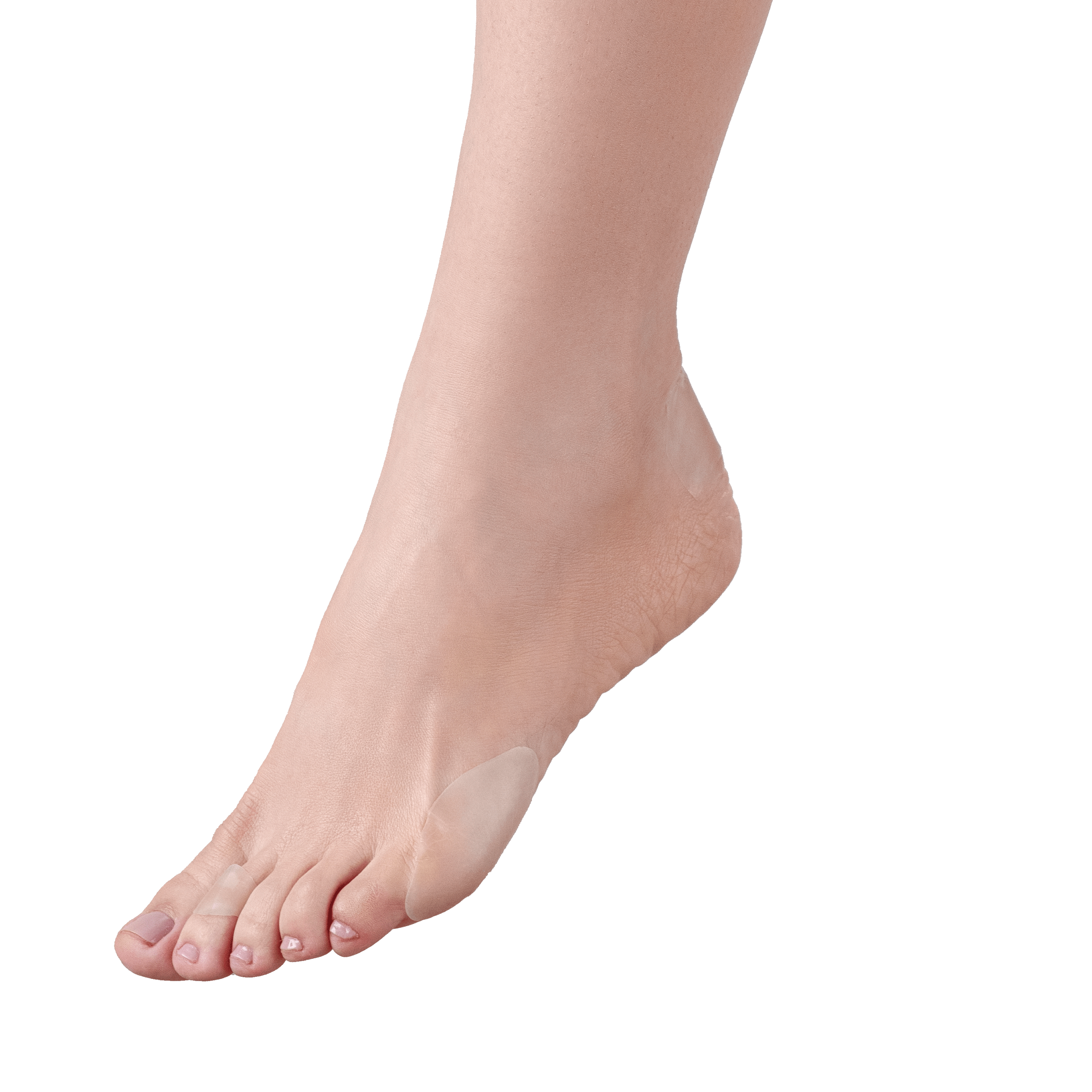 Melhores Pomadas para Feridas em Cachorros → Cicatrização Rápida, Proteção e Alívio em Um Só Produto