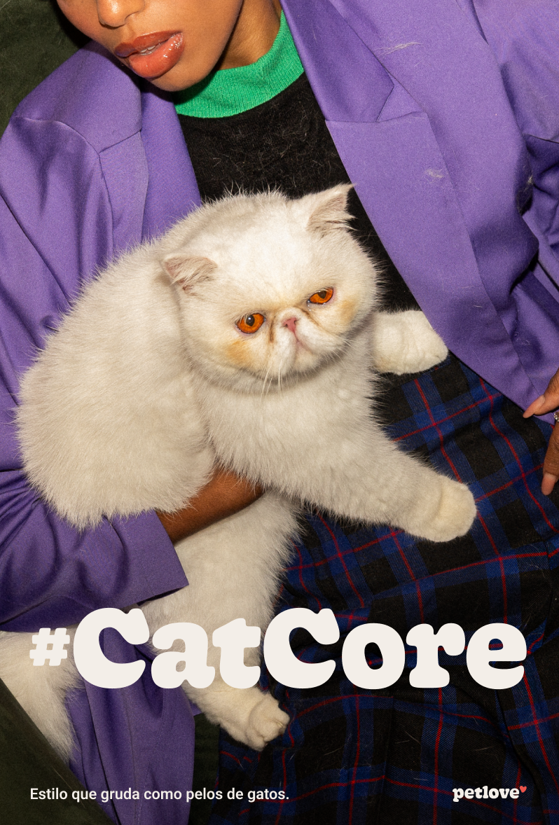 Tipos de roupas para gatos disponíveis no mercado 2024